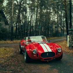 2023-12-13 Double P - Cobra-164